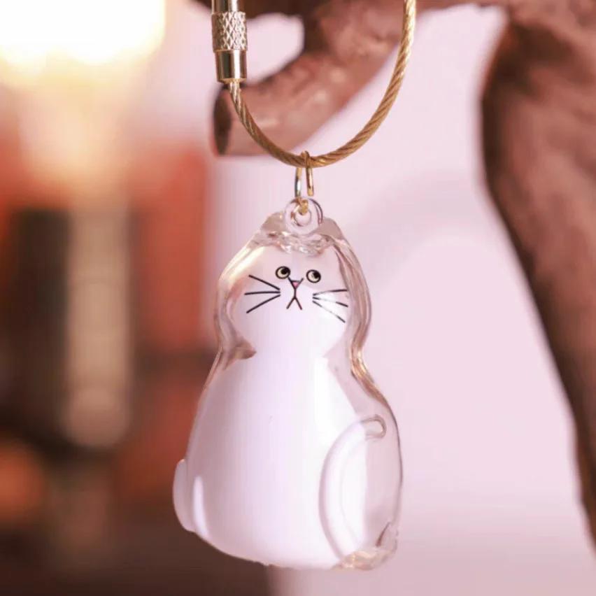 New Style Cat Hair Storage Bag Pendant Cute Pet Fur Souvenir Box Fashionable Versatile Keychain Accessories Gifts For Cat Lovers