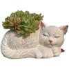 1Pcs Silicone Mold Cute Cat Dog Flower Pot Succulent DIY Making Resin Concrete Vase Cactus Candle Silicone Mold Home Decor Tool
