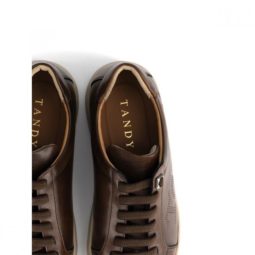 Tandy Men S SneakerS 516741  C 1407