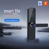 Waterproof Tuya WiFi Smart Door Lock for Bedroom, Apartment, and Rental House Entrances.