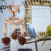 Colorful Hanging Parrot Bird Toy Training Biting Chewing Accessory Handmade Natural Wood Bird Swing Hanging Wind Chime for Parrot