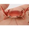 Creative Cute Crab Pen Holder Weightlifting Crabs Pen Holder Stand Bracket Storage Pen Rack Desktop Ornament School Office Home Store Accessories
