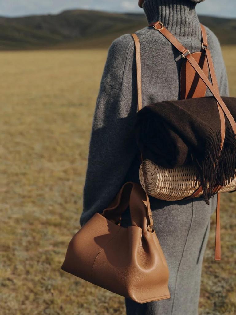 Polene Cloud Bag Dumpling: Genuine Leather Single Shoulder Crossbody Handbag. In Stock.