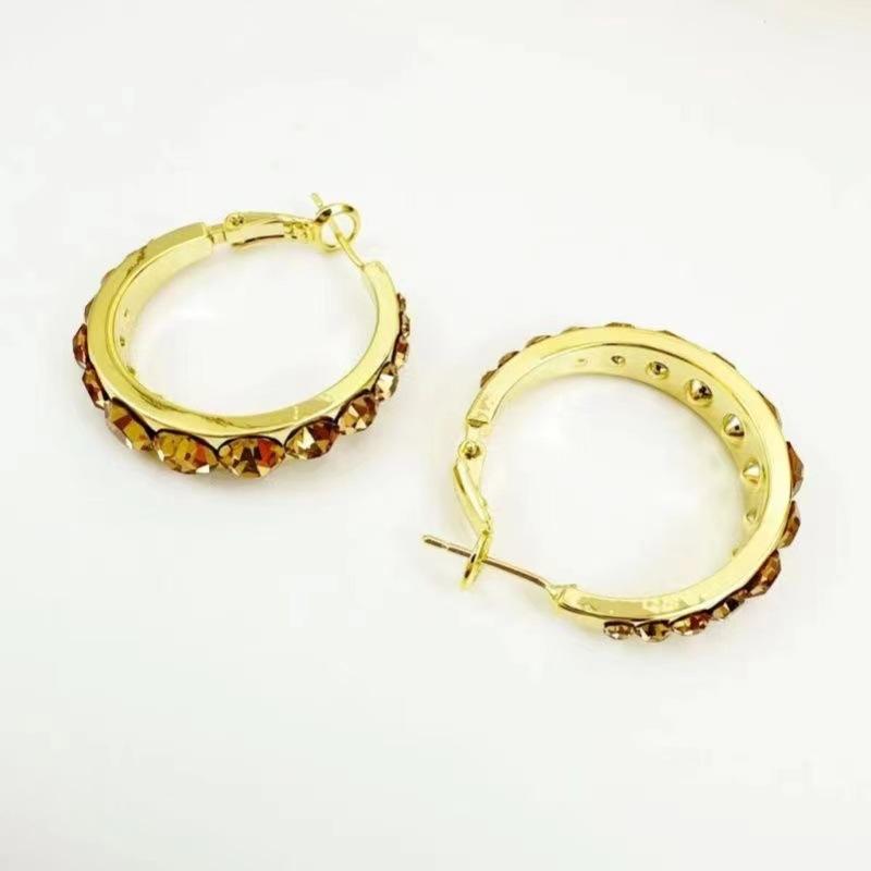 Exquisite Brown Zircon Circle Earrings For Women Fashion Personalized Daily Accessory Party Jewelry Birthday Anniversary Gifts