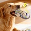 Interaktives Hundequetschspielzeug Schuhe Form Bissfest Hausschuhe Haustier Kauspielzeug Welpe Spielen