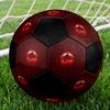 LOSC Lille Soccer Ball Colorful All Ages Machine Stitched PVC Competition Ready Durable High-Bounce.SIZE5