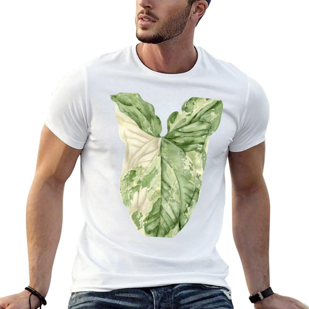 Syngonium Albo Variegata Tshirt Unisex T Shirt Cotton High Quality Essential T Shirt Anime T Shirts Oversize Tshirt