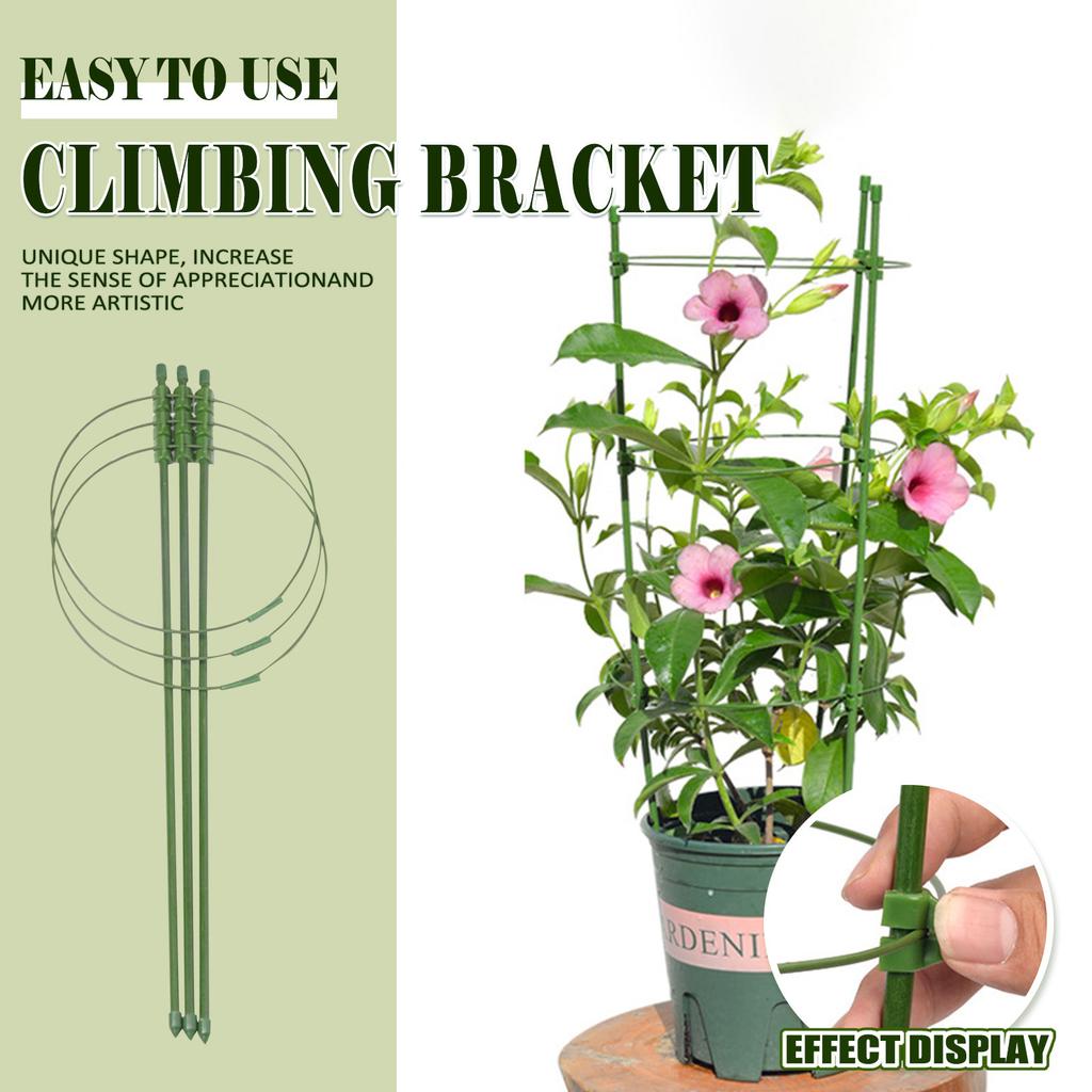 Plant Support Cage Resistant Garden Plant Support Ring Plant Stake Plant Support Tomato Cage, 45 Cm Plant Lattice Frame Kit