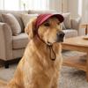 Sun Protection Dog Sun Hat with Ear Holes Pet Visor Hat Handsome Summer Cat Cap  Outdoor Sports