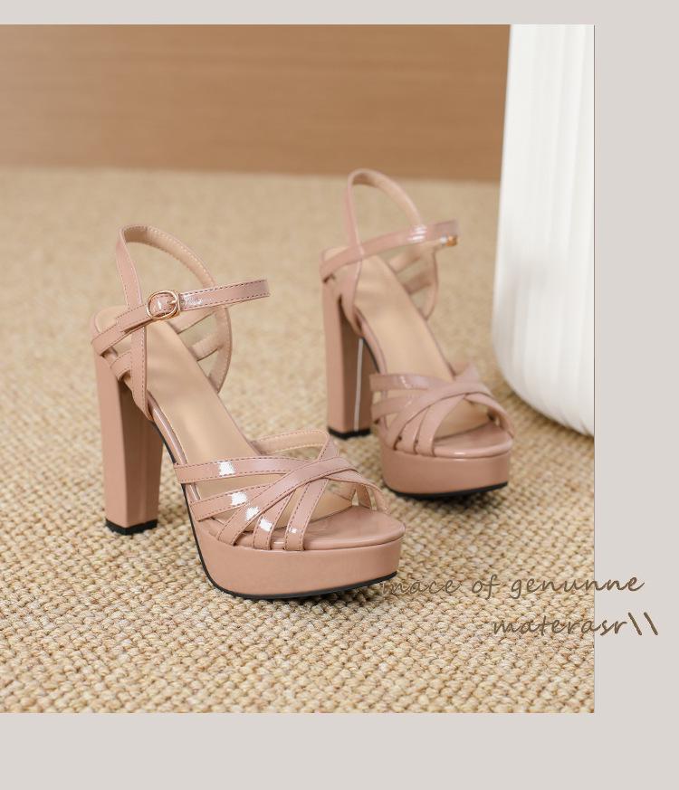 Chunky Heel Waterproof Platform Sandals with Thin Straps for Women, Sizes 35-42 - Ideal for Nightclub, Runway, or Work.