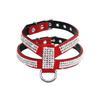 Собаки – Нашийники і повідки для собак