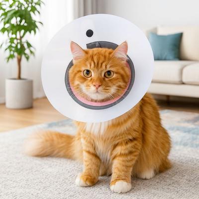Atmungsaktiver Haustier-Schutzkragen Verstellbarer Bissfester Genesungskragen Transparent Kratzfest Katze Anti-Leck-Abdeckung