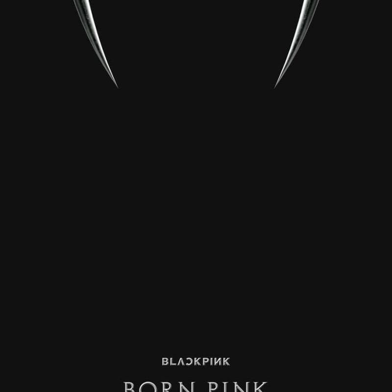 

BLACKPINK - BLACKPINK 2nd ALBUM [BORN PINK] BOX SET [BLACK ver.]