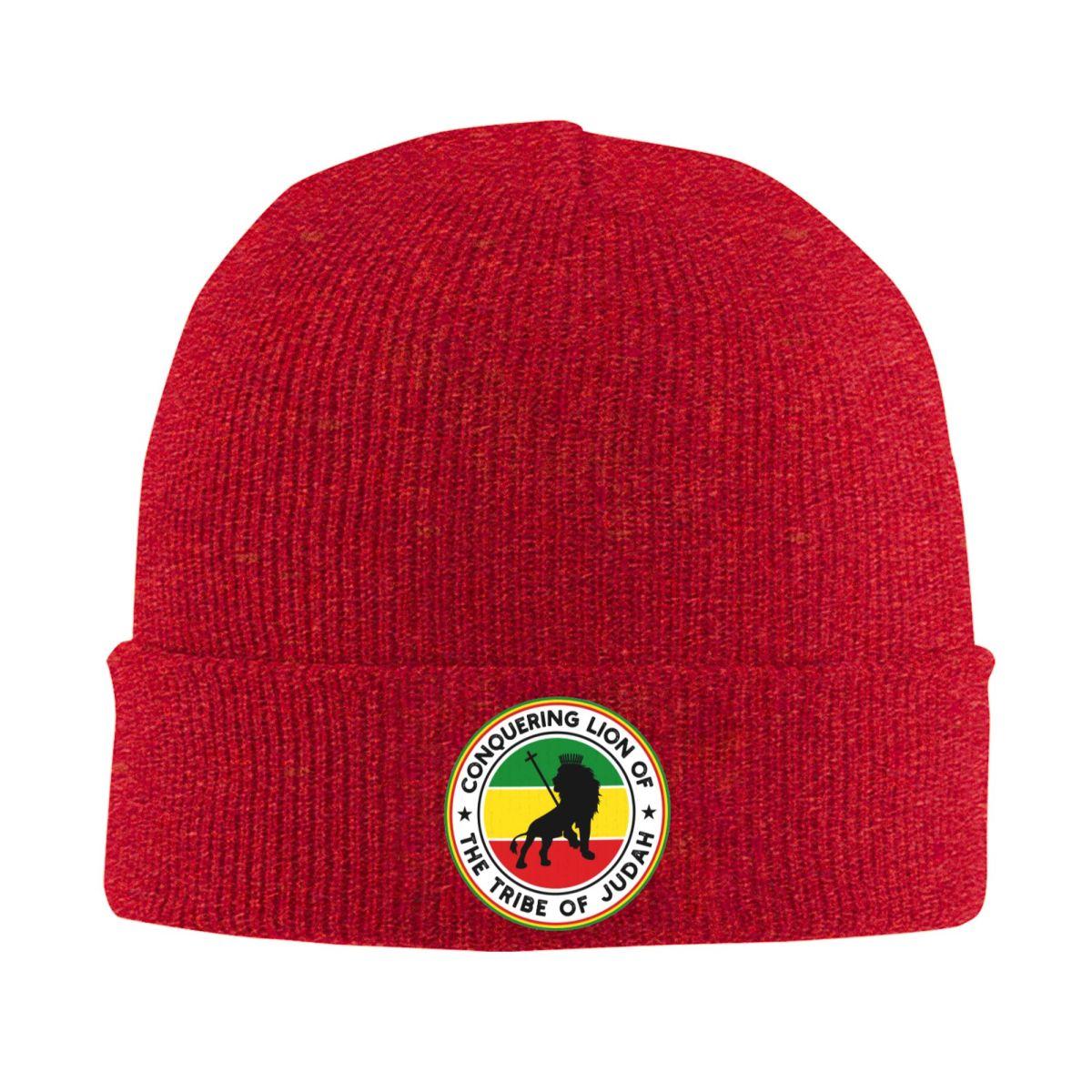 Rasta Lion Of Judah Star Of David Warm Knitted Cap Winter Knit Bonnet Hat Skullies Beanies Hip Hop Caps for Unisex One Size