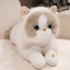 The Simulation Will Be Called Ragdoll Cat Doll Plush Toy Kitten Doll Girl Ragdoll Birthday Gift