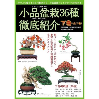 Introduction 36 Types Miniature Bonsai Volume 2 Everything You Need Know About Creating Small Trees Enjoy Your Hands Series (Monthly Modern Special