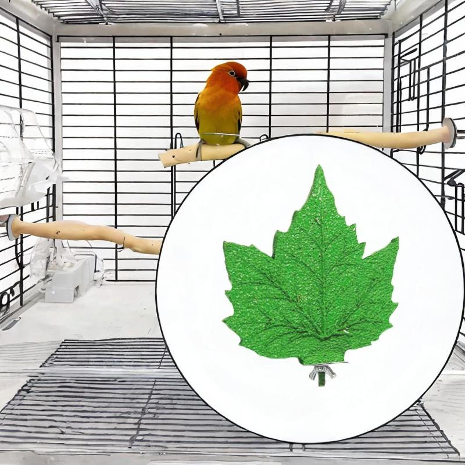 

Bird Perch Stand for Parrots with Leaf Design and Grinding Feature Budgies зелёный