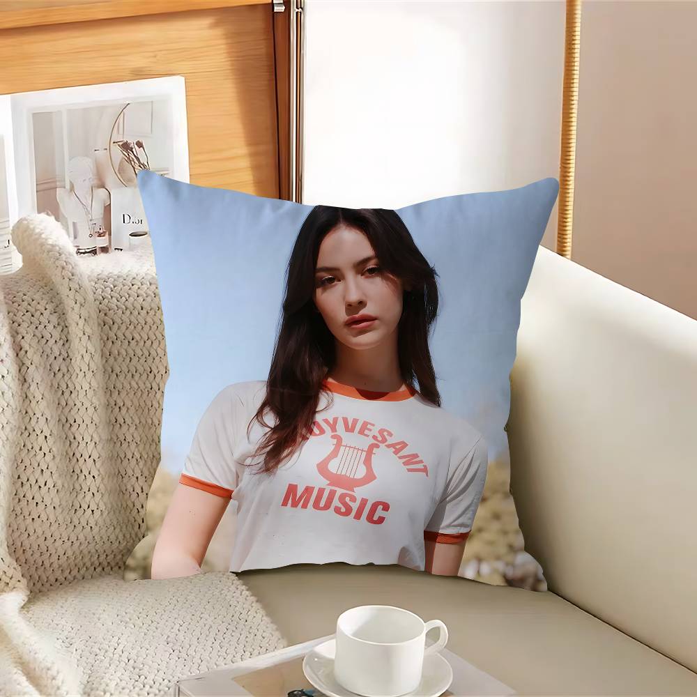 Singer Gracie-E Abrams-S Pillow Case Removable Washable Cushion Cover – All-Season Soft Linen