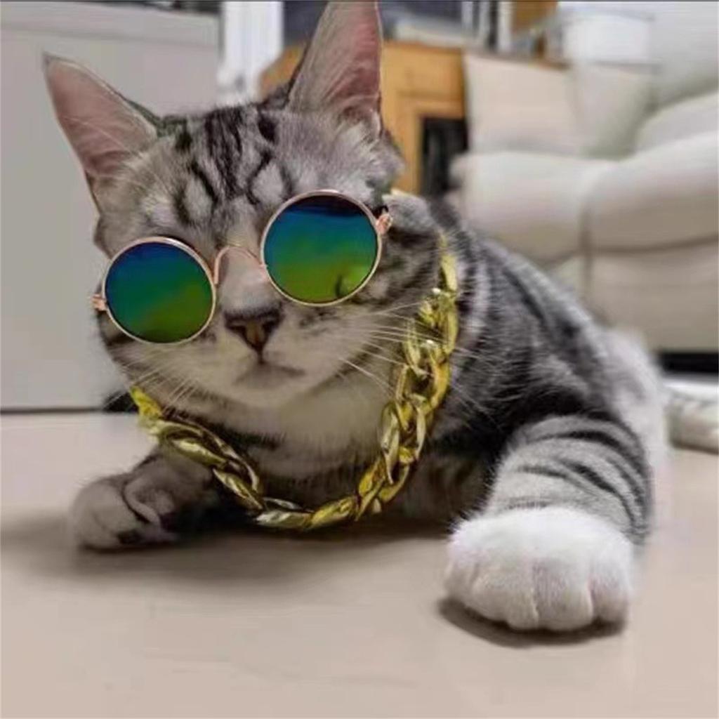 Fashion Dog Pet Glasses Creative Trend Photography Round Frame Small Sunglasses Retro Dog Sunglasses