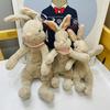 Jahr des Hasen Maskottchen Cartoon Umarmung Karotte Hasenpuppe Kleines weißes Hasen Plüschtier Puppe Geschenk