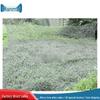Dianmai Outdoor Camouflage Net