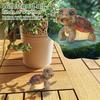 Turtle Statue Cute Simulation Turtle Resin Figurine Animal Tortoise Sculpture Ornament Outdoor Home Balcony Garden Lawn Decor