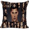 Die Twilight Saga Biss zum Morgengrauen Kissenbezug Schlafzimmer Haus Dekorativ Geschenk Kissenhülle Quadratisch Reißverschluss Kissenbezüge Satin Weich