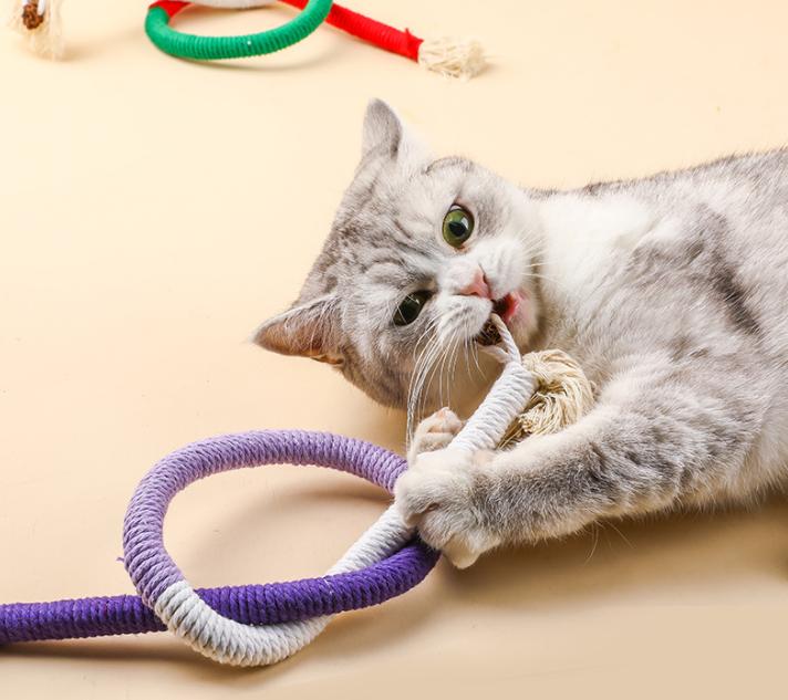 Cat Toys Chew Ropes Pet Toys Refillable Natural Catnip, Safe Teeth Cleaning Toy for Indoor Kittens, Interactive Cat Nip Kitty Toys