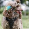 Dog Harness with Handle Breathable Adjustable Padded Dog Harness Reflective No Pull Dog Harness with Front Clip for Walking Training Hunting
