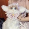 Plush CAT Backpack for Boys Girls Kids Children SchoolBag Cute Cartoon School Bags Kindergarten Preschool Baby Bag