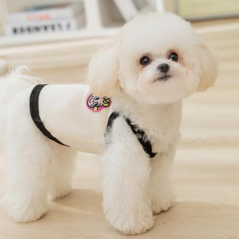 Cute Summer Thin Two-legged Teddy Bear Small Puppy Kitten Pet Clothing Dog Cat Clothes