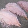 10pcslot Natural White Ostrich Feathers 15-50cm Big Plumas for Wedding Home Decoration Ostrich Plumes Table Centerpiece Crafts