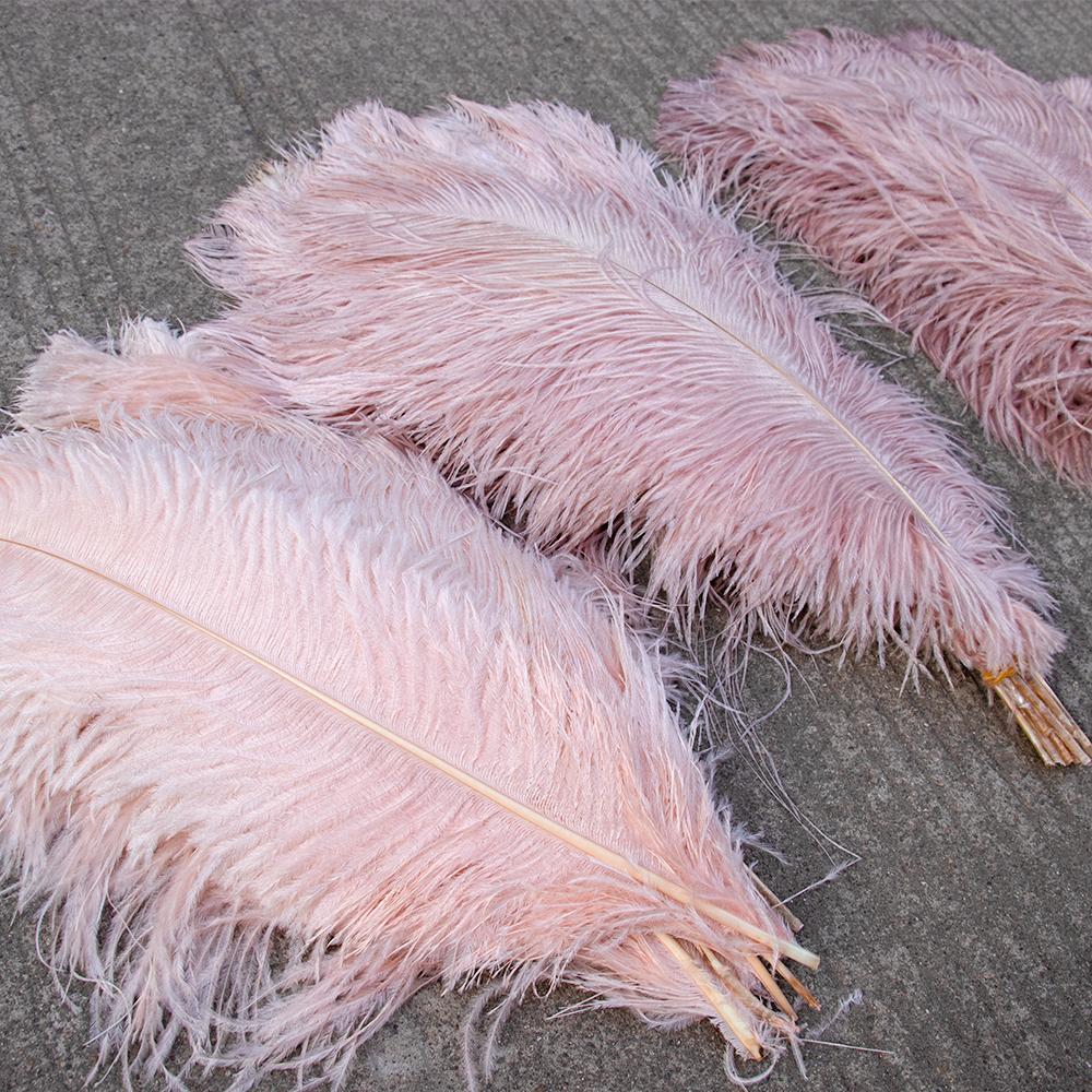 10pcslot Natural White Ostrich Feathers 15-50cm Big Plumas for Wedding Home Decoration Ostrich Plumes Table Centerpiece Crafts