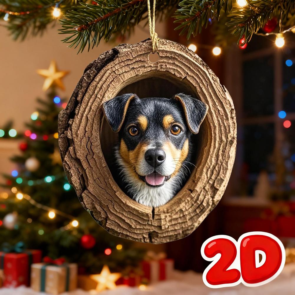 Cute Animal Christmas Ornament 2D Nimal Raccoon Owl Ornaments Car Bunny Decoration Squirrel Hedgehog Wildlife Bird Hanging E6U3
