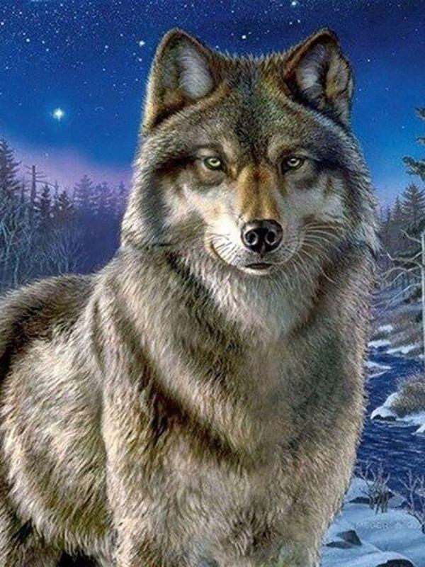 40x50cm Coloring By Number Elf Girl Cartoon Drawing On Canvas Hand Painted Decoration Picture Tiger DIY Christmas Gift