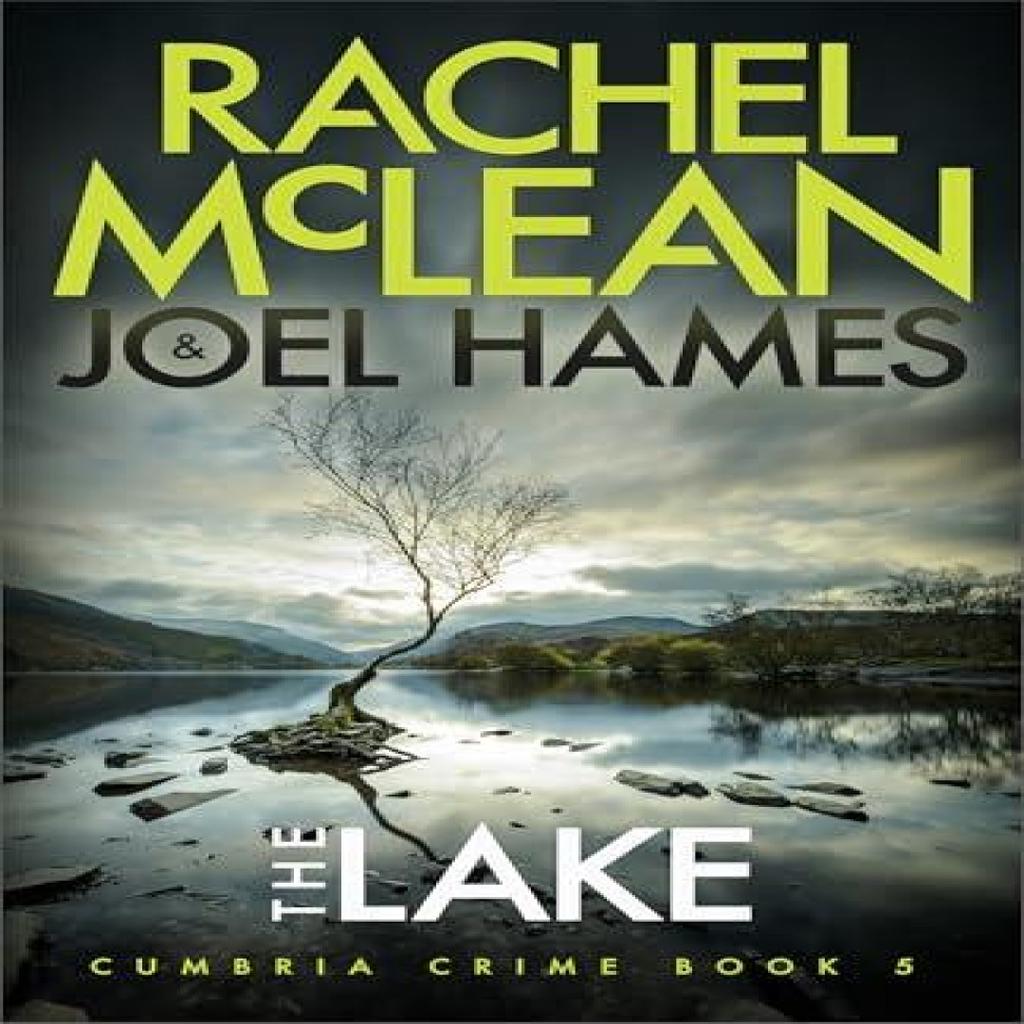 The Lake by Joel Hames Paperback Book 9781835601877