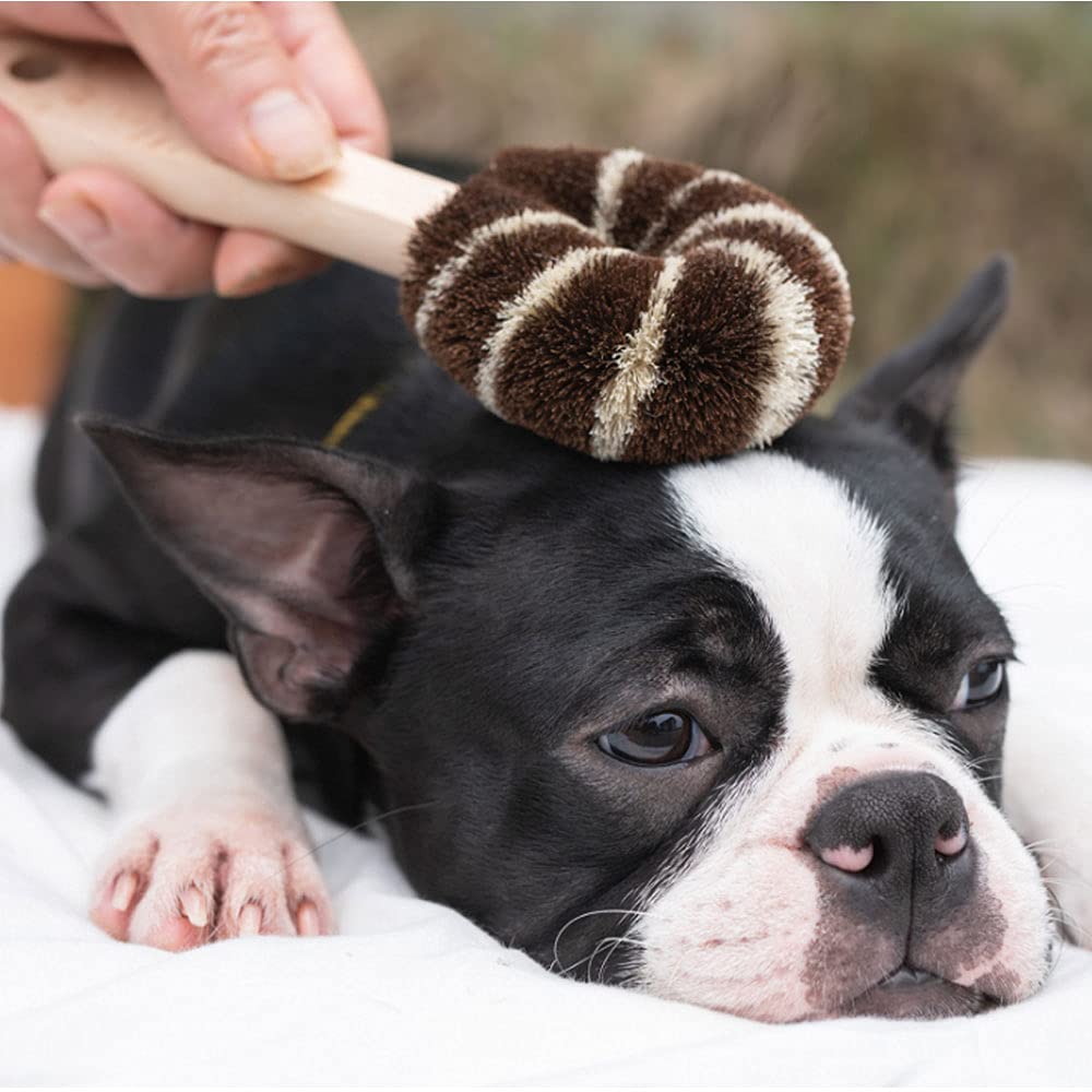 Masatsugu Palm Pet Brush for Dogs [Kitayama Shoten] Scrubber, Scrubber, (Type A)