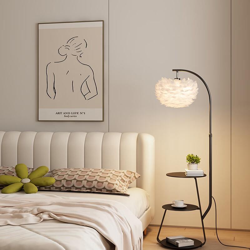 Xuanyong Feather Floor Lamp