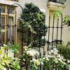 Outdoor Rose & Clematis Climbing Frame Stand with Pergola for Balcony or Garden