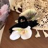 Butterfly Orchid Orchid Hair Clip Ponytail Clip Large Shark Clip Cute Flower Hair Claw  Daily