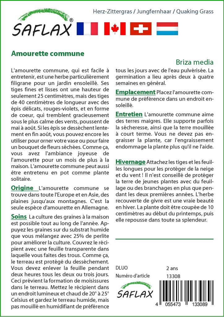 SAFLAX Κήπος στην Σακούλα - Κουφοχορτάρι - 75 σπόροι - Με υπόστρωμα σε κατάλληλη όρθια σακούλα - Briza media