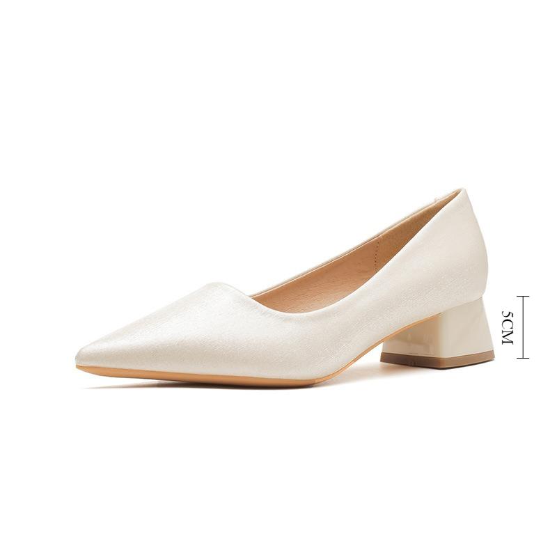 High Heels Women Spring Summer Thick Heel Pointed Professional Mid Heel Pumps New Shallow Commuter Work Shoes Comfortable