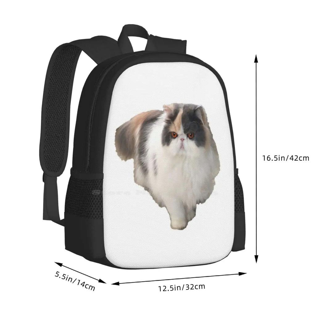 Summer The Persian Cat New Arrivals Unisex Bags Student Bag Backpack Summer Persian Cat Australian Cat Cats Persian Kitten