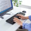 SANWA SKB-E5UBK Wired Keyboard