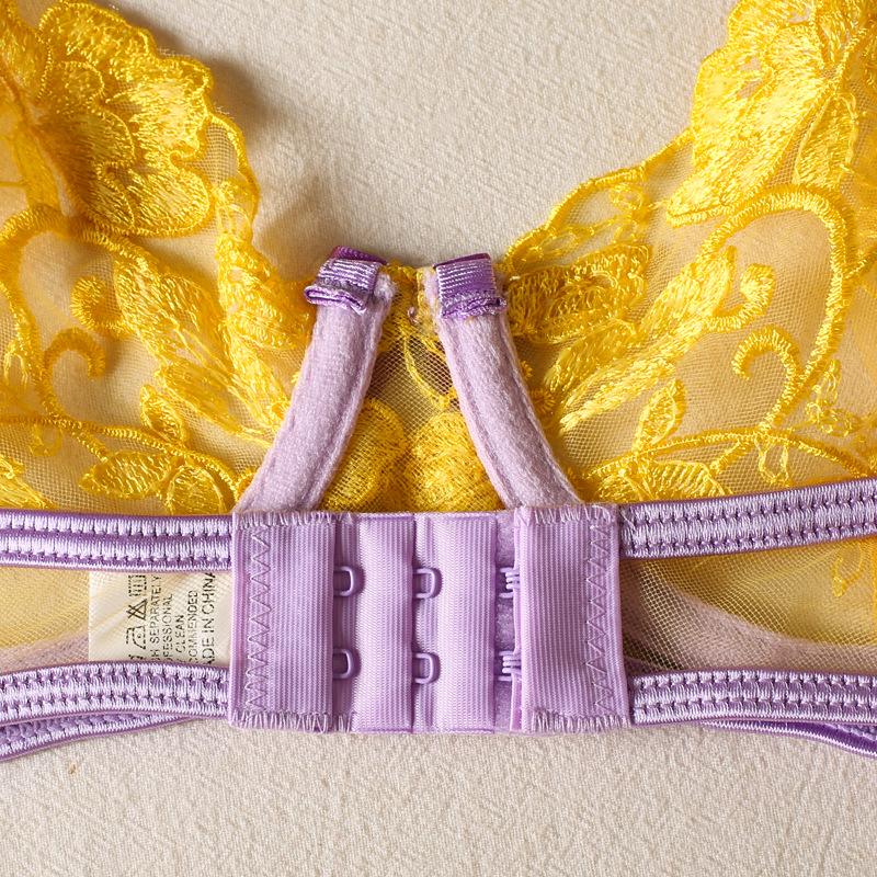 Nouveau ensemble de lingerie populaire de haute qualité pour femmes, soutien-gorge à broderies florales, transparent, sexy, avec nœud