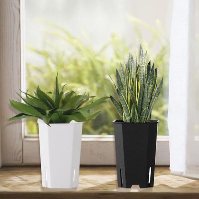Vaso Ottagonale Quadrato in Plastica ad Apertura Laterale Ingrosso Fioriera per Succulente Resina Vientiane Pianta in Vaso Trasparente Attrezzo da Giardinaggio