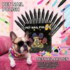 Pennarelli Smalto per Unghie per Cani Asciugatura Rapida 12 Colori Sicuro Senza Odore Set Smalto per Unghie per Cani A Base d'Acqua Non Tossico Set di Accessori per Unghie per Animali Domestici