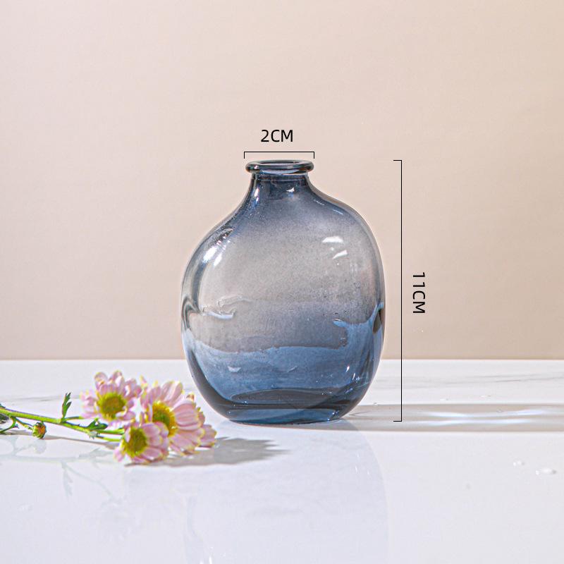 Minimalist Glass Vase for Hydroponic Green Plants - Perfect for Living Room Flower Arrangements and Home Decor