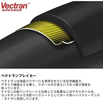 Continental GRAND PRIX 5000 Tire and Tube Set (700x25c, 60mm Presta)