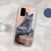 British Shorthair cat Phone Case for Samsung S21 A10 for Redmi Note 7 9 for Huawei P30Pro Honor 8X 10i cover